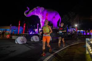 BIB: 
                            <button type="button" onclick="openModal(26552166)" class="btn btn-primary btn-sm float-right btn-popup" data-toggle="modal" data-target=".modal-high-quality">
                        <i class="fas fa-shopping-cart"></i> Add to Cart
                    </button>
                                            <button type="button" onclick="isThisMe(26552166, true)" class="btn btn-success btn-sm float-right btn-popup btn-isme hidden" data-toggle="tooltip" data-placement="bottom" title="นี่คือรูปของคุณใช่ไหม คลิกที่นี่เพื่อเอาเข้าอัลบั้ม">
                        <i class="fas fa-plus"></i> Add to album
                    </button>
                    <button type="button" onclick="isThisMe(26552166, false)" class="btn btn-warning btn-sm float-right btn-popup btn-isnotme hidden">
                        <i class="fas fa-ban"></i> Remove from album
                    </button>